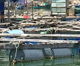 môi[-]trường[-]nuôi[-]trồng[-]thủy[-]sản[-]biển